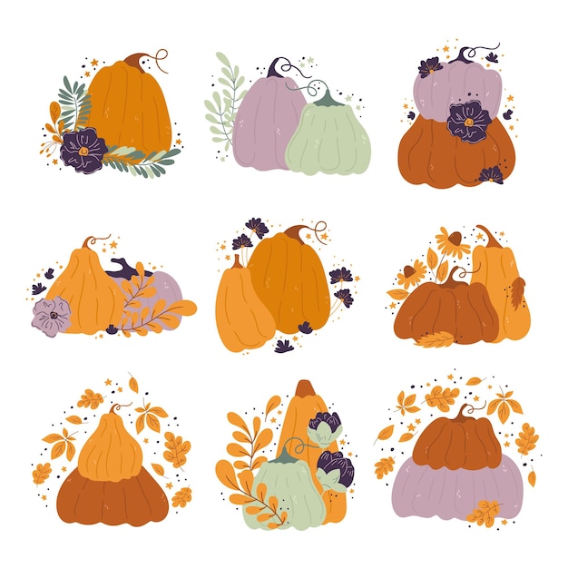 Pumpkins cartoon compositions with leaves and flowers Pumpkin of various shapes and colors isolated vector composition for autumn fall agricultural harvest Thanksgiving or Halloween designs