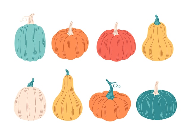 Pumpkins of different colors and shapes. Hello autumn, autumn harvest. Vector illustration