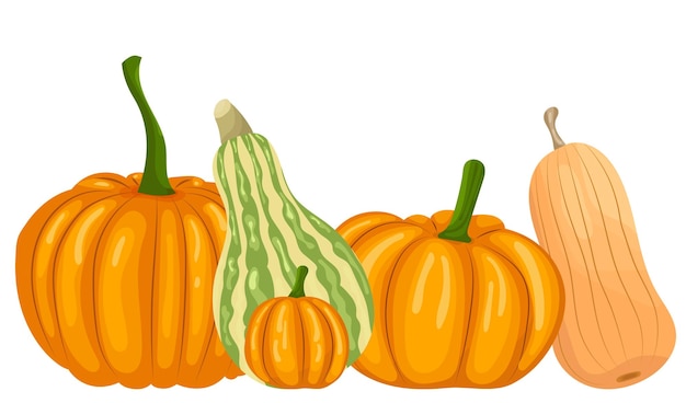 Pumpkins in flat style isolated vector