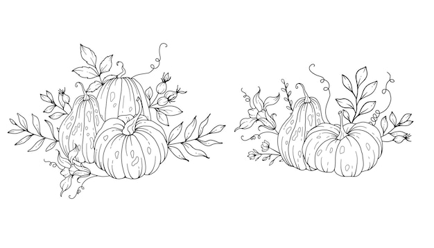 Pumpkins Line Art Illustration Outline Pumpkin arrangement Hand Drawn Illustration