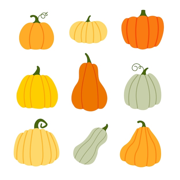 Pumpkins set in various shapes and colors. Halloween and Thanksgiving day. Autumn decorative element