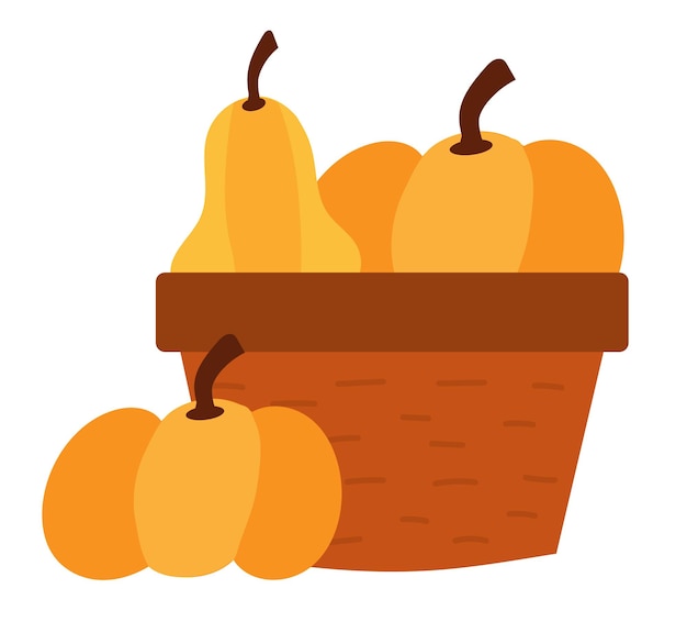 Pumpkins in a wicker basket Autumn harvest Vector flat illustration