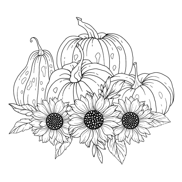 Pumpkins with Sunflowers Line Art Illustration Outline Pumpkin arrangement Hand Drawn Illustration