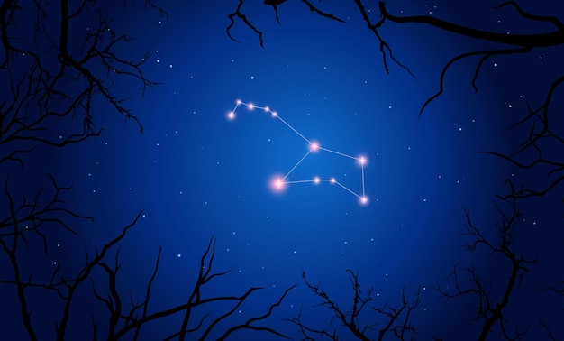 Puppis constellation, Bright constellation in open space, blue sky, Starry sky behind tree branches