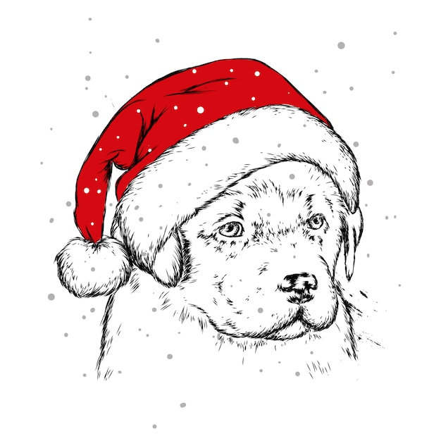 The puppy  in the Christmas hat. Santa Claus dog. New Year and Christmas, winter holidays. Vector illustration for postcard, or print on clothes.