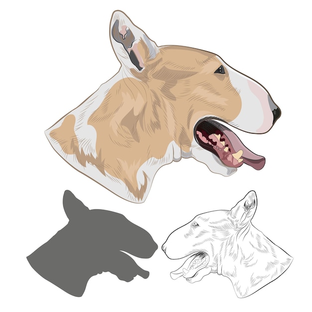 Purebred canine in sketch and silhouette for your design.