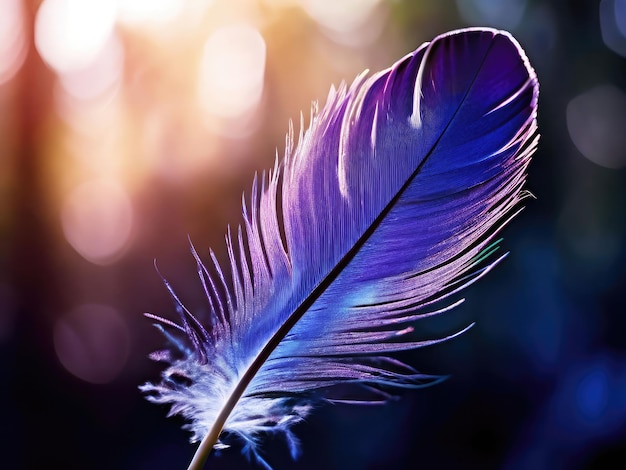 a purple feather with the blue and purple colors of the feather