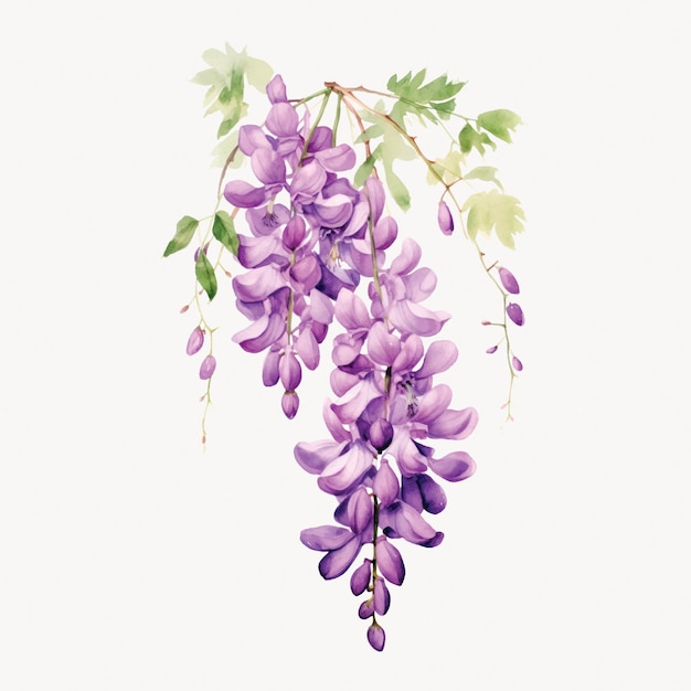 Purple floral watercolor art