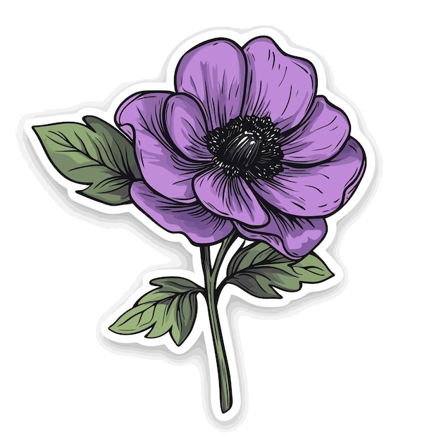 a purple flower with a green leaves and a purple flower