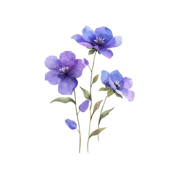 purple flowers vector illustration in watercolor style