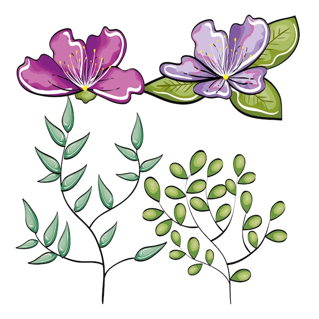 Purple flowers with branches and green leaves over white background. Vector illustration.