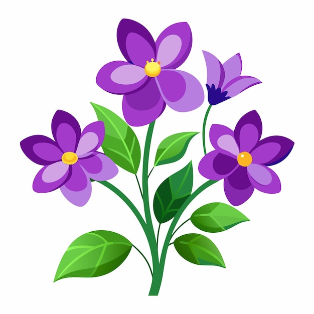 Purple Flowers with Green Leaves Isolated on White Background