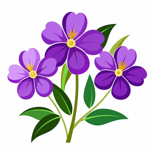 Purple flowers with green leaves isolated on white background