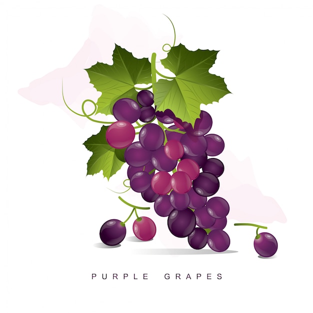 Purple Grapes