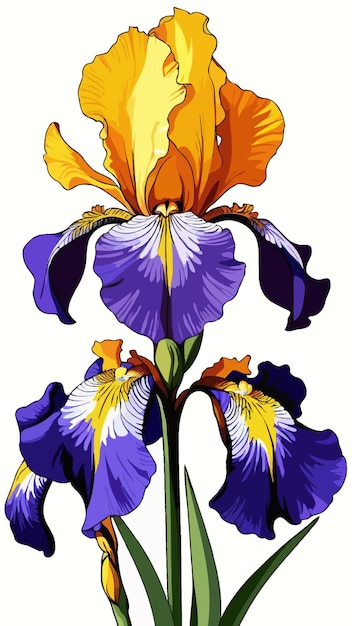 Vector purple iris flower cartoon drawing artwork vector