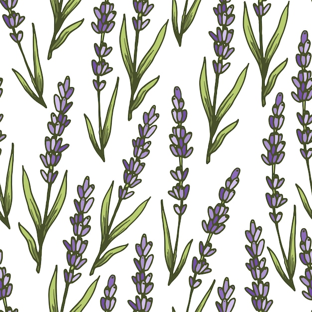 Purple lavender flowers vector seamless pattern. Beautiful retro hand drown doodle style floral