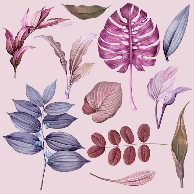 Purple leaves collection design vector