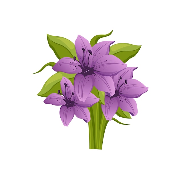 Purple Lily Hand Drawn Realistic Illustration