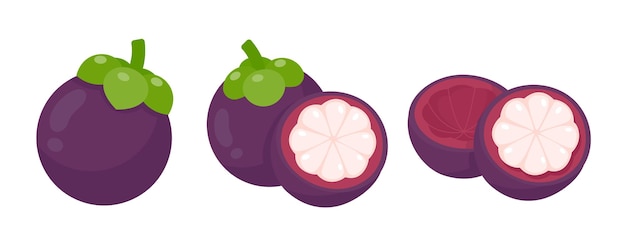 Purple mangosteen sweet tropical fruit