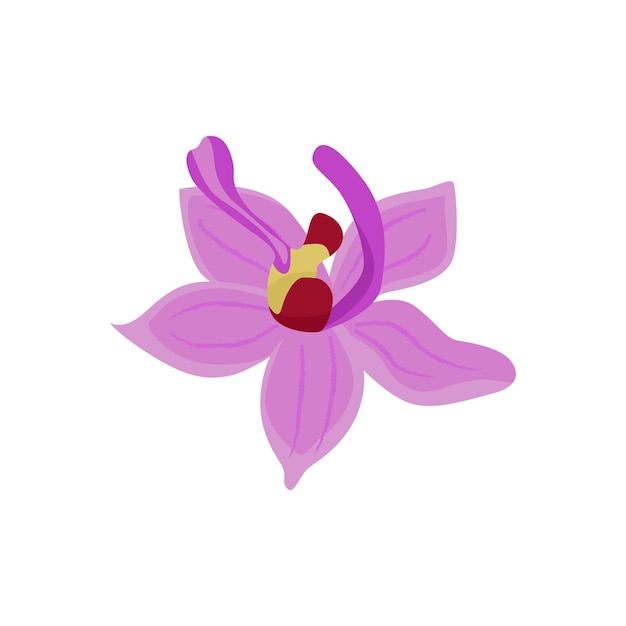 Purple orchid flower icon