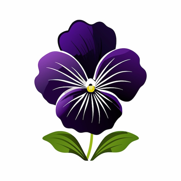 Vector a purple pansy flower in full bloom isolated on a white 10