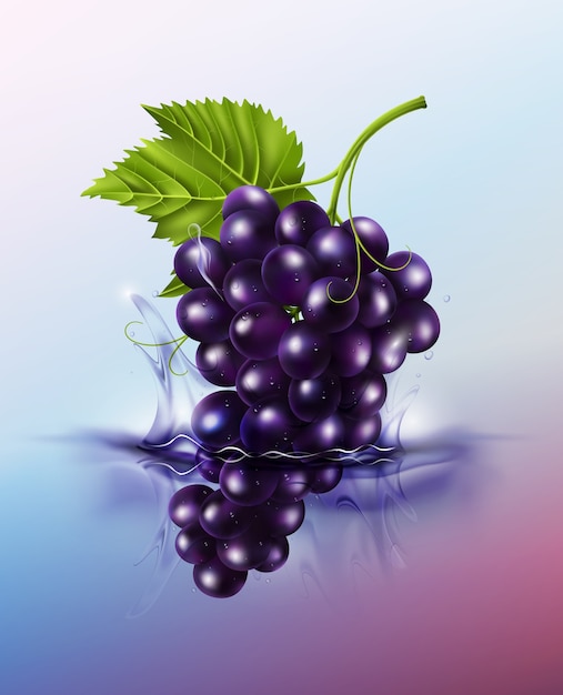 Vector purple table grapes drop on juice splash and ripple