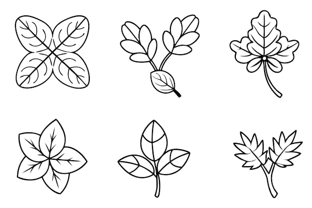 Purslane Leaf line art design guide