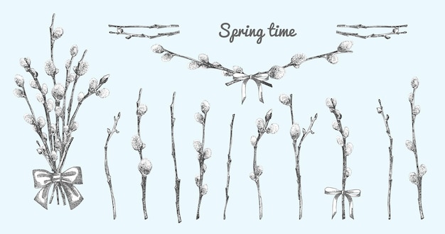 Pussy Willow branches set Spring bouquet with ribbon bow Handdrawn sketch black and white design isolated on blue background Outline Sunday Easter symbol collection Vector