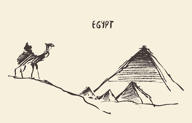 Pyramids in Cairo with caravan of camels, vintage engraved illustration, hand drawn