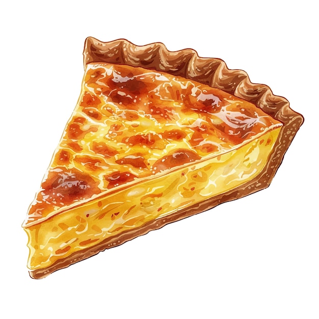 quiche lorraine vector illustration in watercolour style