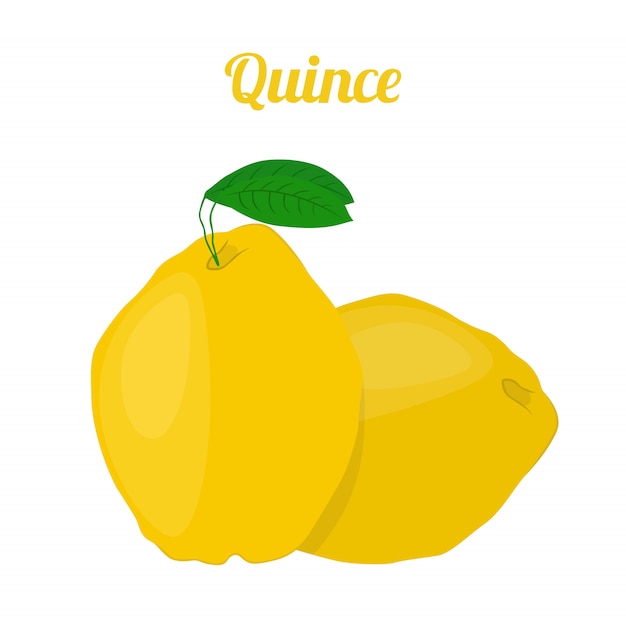 Quince healthy fruit