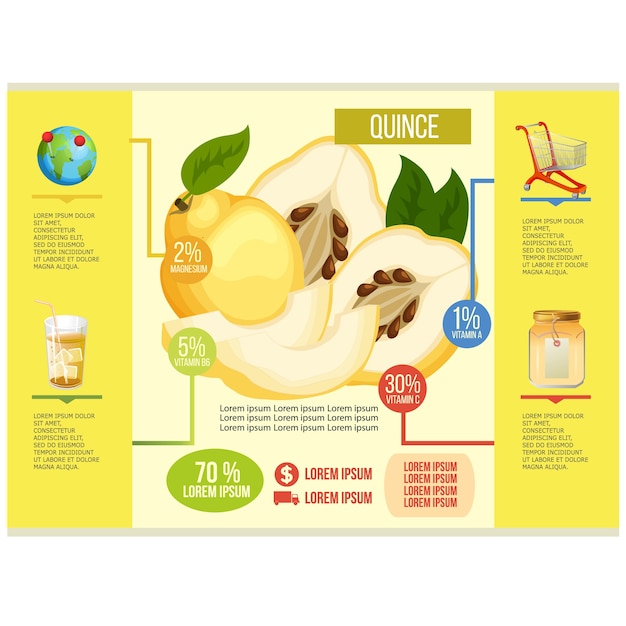 quince infographic template