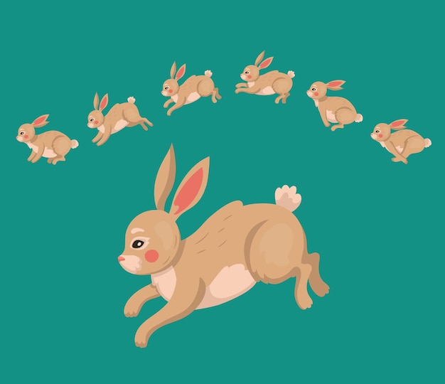 Vector rabbit animal jump sequence of bunny motion isolated small pet cute side of frame domestic or farm easter mammal holiday mascot vector cartoon flat style isolated illustration set