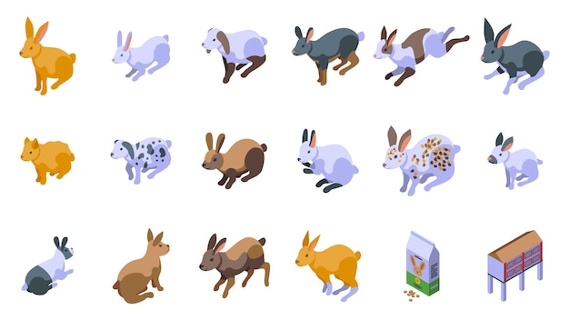 Vector rabbit breeding icons set isometric vector dutch animal