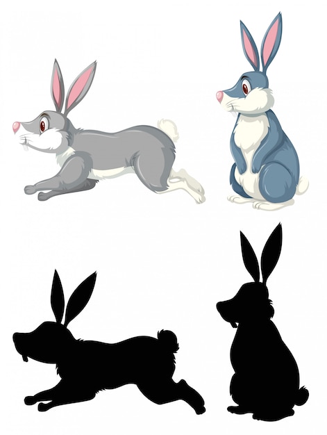 Rabbit in diffrent design