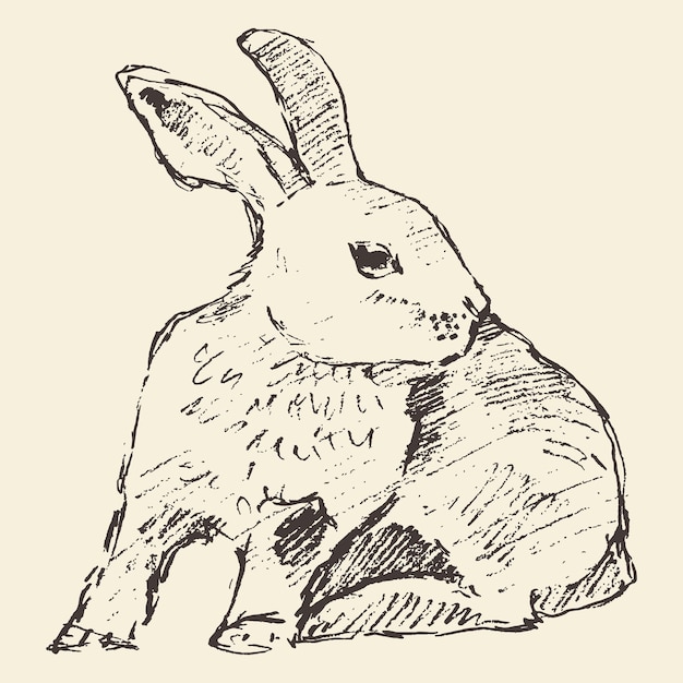 Rabbit, engraving style, vintage illustration, hand drawn, sketch