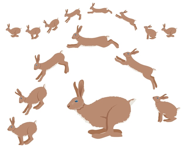 Rabbit or hare jumping motion animation sequence. Vector Illustration