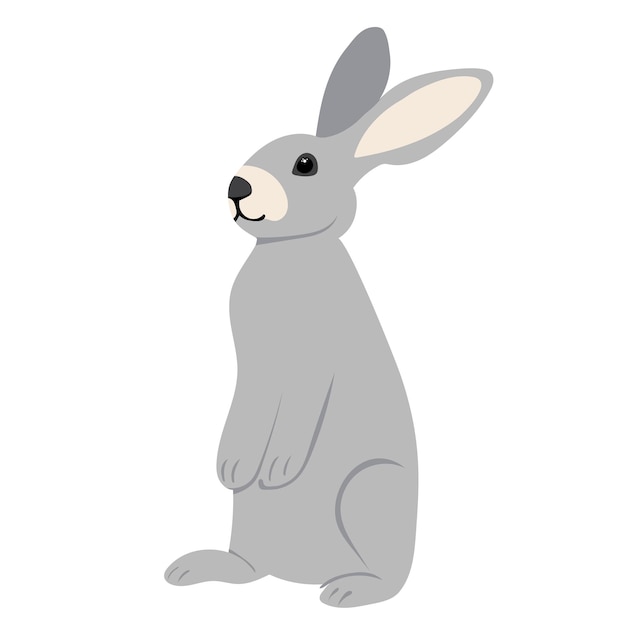 Rabbit hare on white background isolated vector