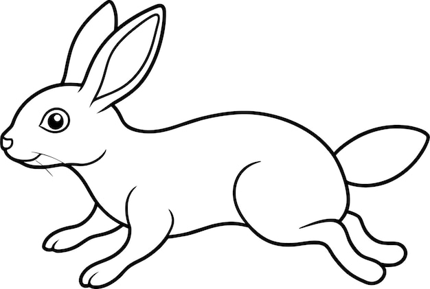 rabbit outline vector