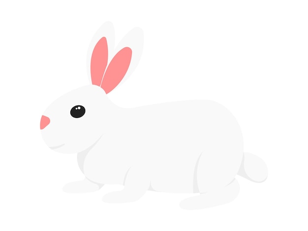 Rabbit Spring Element Illustration