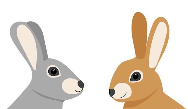 Rabbits portrait on white background isolated vector