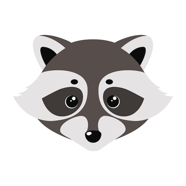 Raccoon cute face