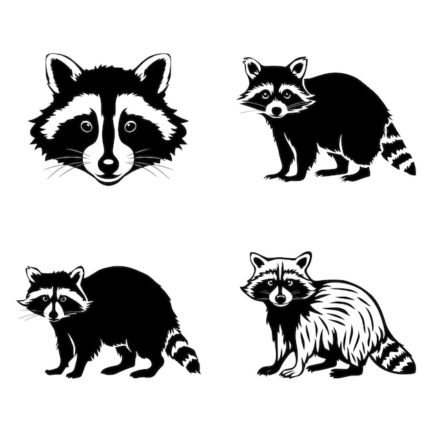 Vector raccoon silhouette set black color vector illustration