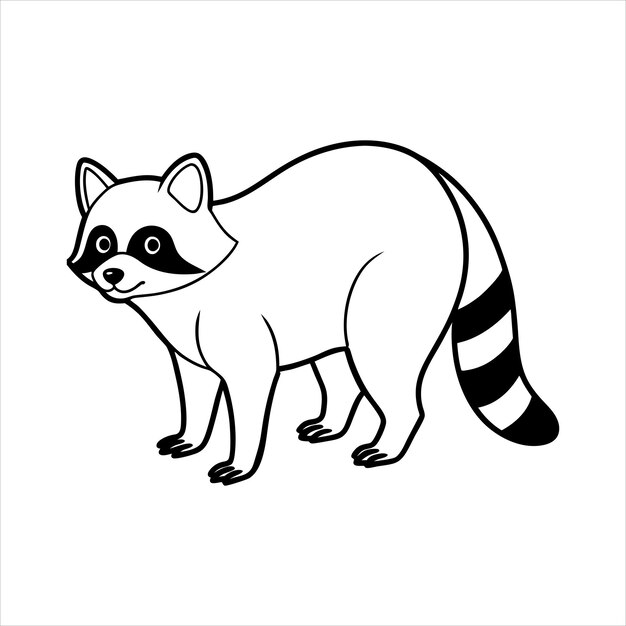 Vector raccoon standing on all fours line art