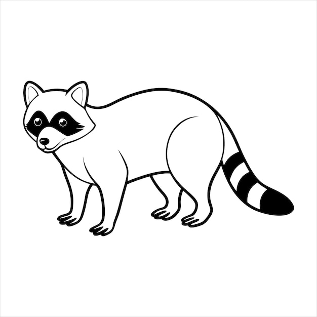 Vector raccoon standing on all fours line art