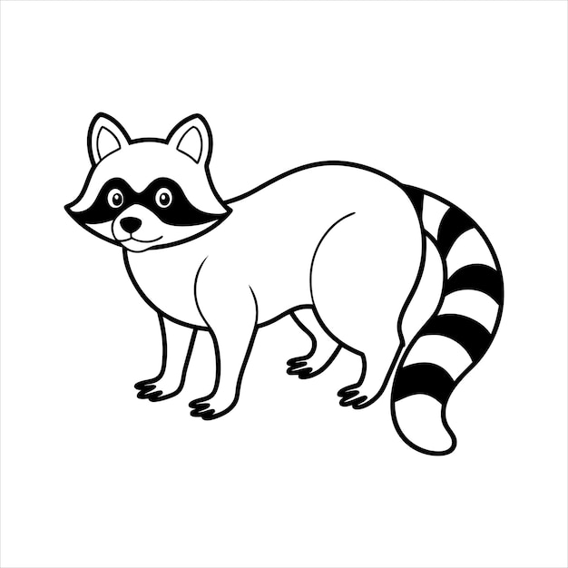 Vector raccoon standing on all fours line art