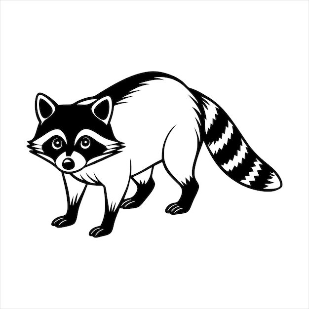 Raccoon Walking Svg