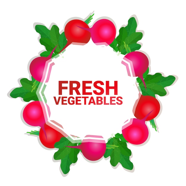 radish vegetable colorful circle copy space organic over white pattern background healthy lifestyle or diet concept