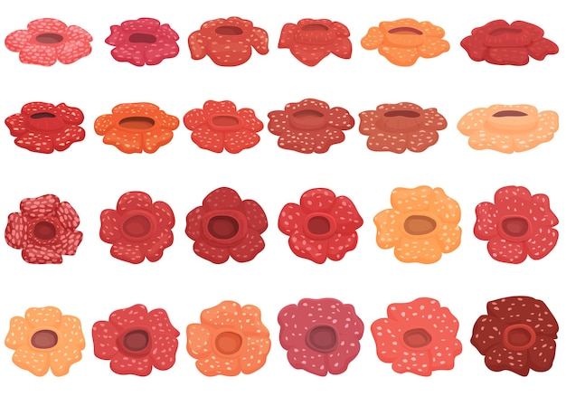 Rafflesia icons set cartoon vector Flower bloom