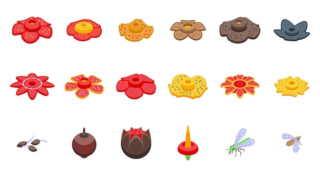 Rafflesia icons set isometric vector Flower bloom